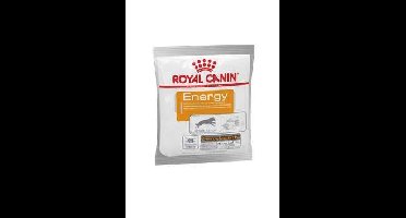 Royal Canin NUTRITIONAL SUPPLEMENT ENERGY - nat hondenvoer - 50 g