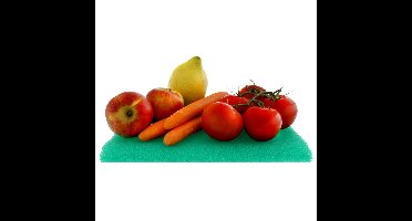 Scanpart Anti-schimmelmat 46x29,5cm