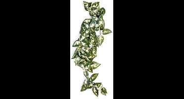 KOMODO BORNEO HANGENDE VAREN