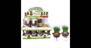 Jeroen Groen Grashoofd Verschillende Uitvoeringen