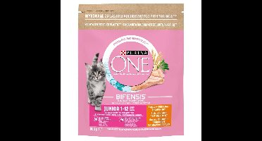 PURINA One Bifensis Junior - droog kattenvoer - 800 g