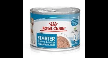 ROYAL CANIN Starter Mousse Moeder & Babydog - blik 195g