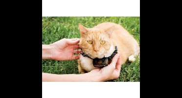 Pcf275-19 Extra kraag voor Pcf-1000-20