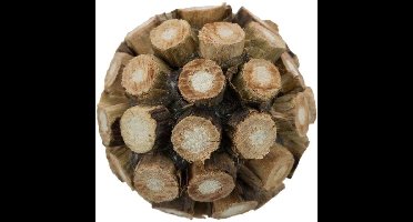 TRIXIE Matatabi - speelgoed voor kat - 4cm