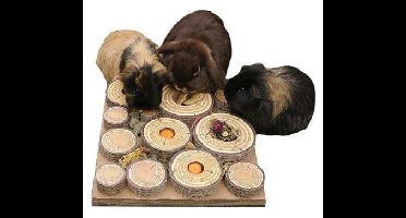 MAZE-A-LOG TREAT CHALLENGE