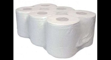 Poetspapier Euro Products recycled - 300 meter - 6 rollen