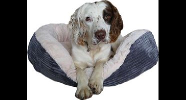 ROSEWOOD HONDENMAND OVAAL JUMBO CORD PLUCHE GRIJS / CREME