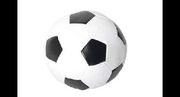 MARTIN ZACHTE VOETBAL