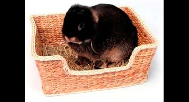 ROSEWOOD CHILL 'N' SNOOZE KNAAGDIERBED