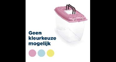 IMAC AQUARIUM ARIEL PLASTIC ASSORTI