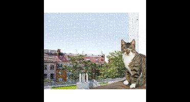 Veiilgheidsnet Trixie Transparant Nylon Kat