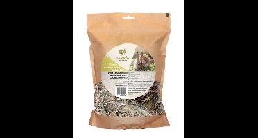 UTOPIA TIMOTHY HOOI MET BERKENBLAD