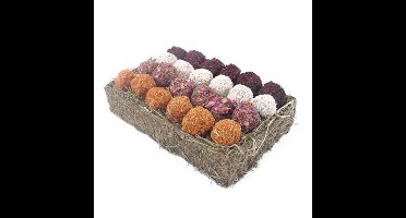 GIFT 'N' FORAGE TRUFFEL SCHAAL