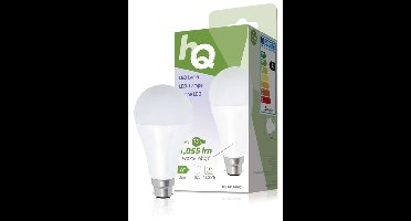 HQ LB22A67001 A67 B22 12W (75W) Led-lamp