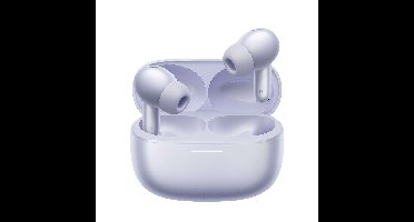 Draadloze Hoofdtelefoon met Oplaadetui Xiaomi BHR9317GL