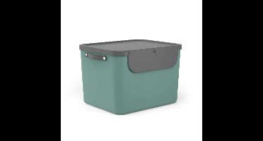 Rotho Albula Afvalscheider 55L Mistletoe Groen