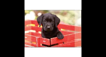 Kangaro Bureauonderlegger Zwarte Labrador Pup 38x58cm