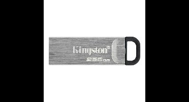 USB stick Kingston Zwart 256 GB