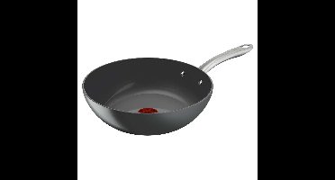 Pan Tefal C4241953 Grijs Aluminium Ø 28 cm