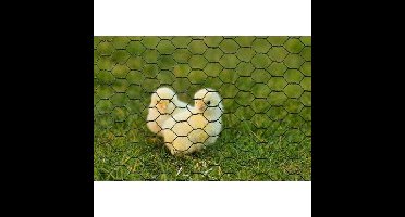 Gegalvaniseerd zeshoekig draadgaas - NATUURLIJK - 0,5 x 3 m - 13 mm dik - Groen