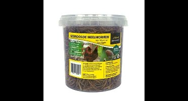 UTOPIA GEDROOGDE MEELWORMEN