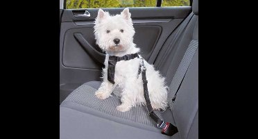 TRIXIE HONDENTUIG AUTO INCLUSIEF GORDEL ZWART