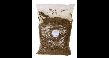 DE VRIES MEELWORM BLACK SOLDIER FLY