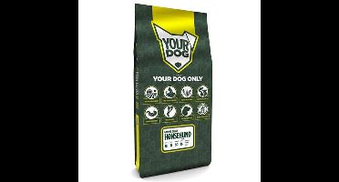 YOURDOG GAMMEL DANSK HØNSEHUND PUP