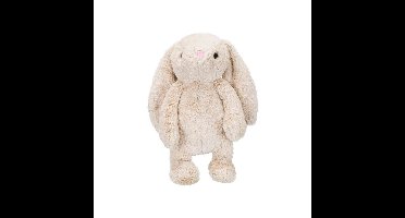 Kattenspeeltje Trixie