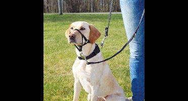 TRIXIE HONDENTUIG TOP TRAINER ANTI-TREK TUIG ZWART