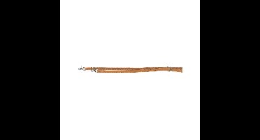 Verstelbare hondenriem Trixie Heartbeat Bruin M/L 2 m