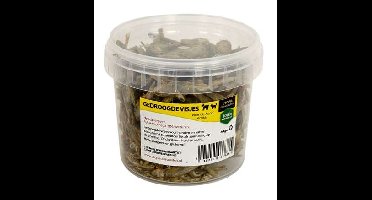 UTOPIA GEDROOGDE VISJES KAT