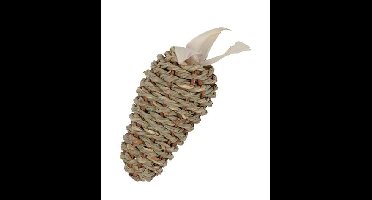 ZOLUX EHOP WORTEL ZEEGRAS