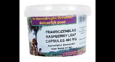 DIERENDROGIST FRAMBOZENBLAD CAPSULES
