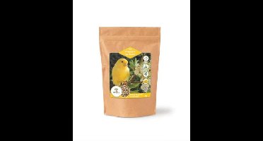 UTOPIA KANARIES TOP QUALITY