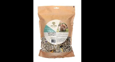 UTOPIA TIMOTHY HOOI MET BLOEMEN