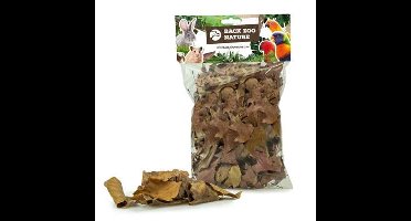 BACK ZOO NATURE DISCOVERY LEAVES