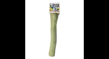 BACK ZOO NATURE JAVA PERCH