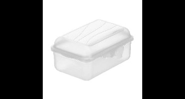 Rotho Fun Lunchbox 0.4L Transparant