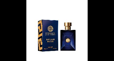 Herenparfum Versace Dylan Blue EDT 100 ml (1 Stuks)