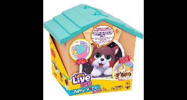 Surprise Niche - Moose Toys - Oranje hond - Willekeurig model - Inclusief accessoires - Vanaf 5 jaar