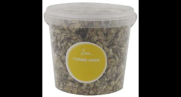 TARWE AREN