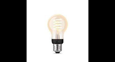 Philips A60 - E27 slimme lamp