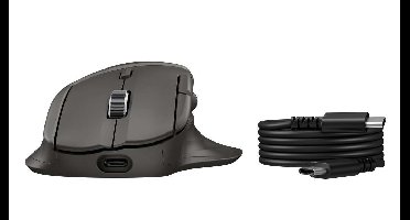 HP Ultra-Fast-Scroll Wireless Mouse 785M
