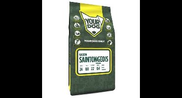 YOURDOG GASCON SAINTONGEOIS SENIOR
