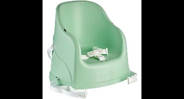 Thermobaby Tudi Chair Booster - 6 tot 36 maanden - 3 -Point Safety Harness - Céladon Green