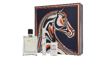Hermès - Hermes Terre D'Hermes Giftset Eau de Toilette 155 ml Heren