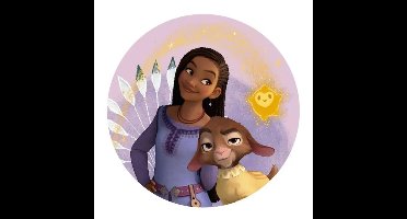 Disney Wish sierkussen 35 x 35 cm