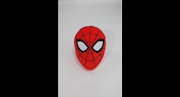 Spiderman sierkussen