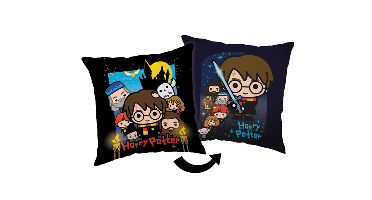 Harry Potter 'friends' sierkussen 40 x 40 cm